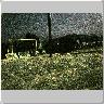 Dscn0519